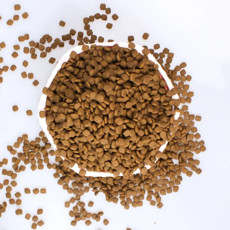 সেরা পুষ্টিকর কুকুরের খাবার